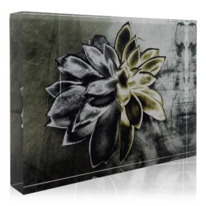 Λουλούδι Gold-Silver