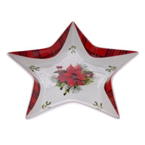 POINSETTIA ΑΣΤΕΡΙ ΠΙΑΤΟ ΠΟΡΣΕΛΑΝΗΣ 19ΕΚ