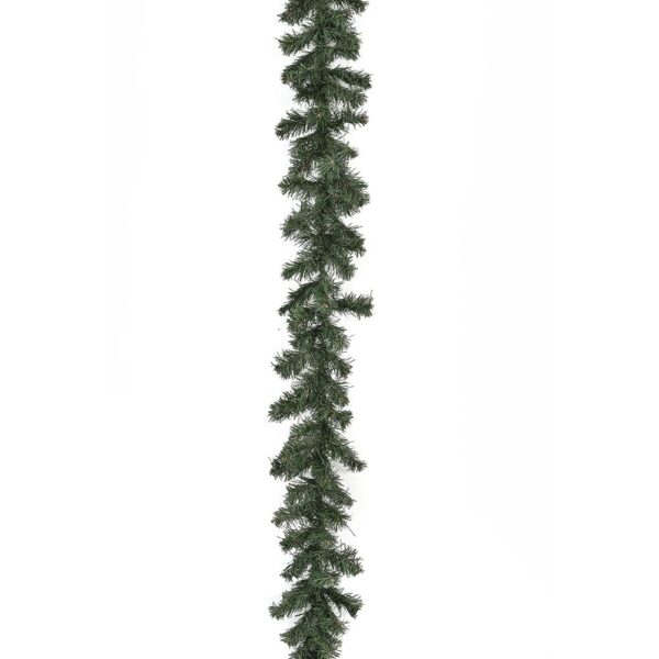 80131.jpg