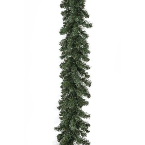 80134.jpg
