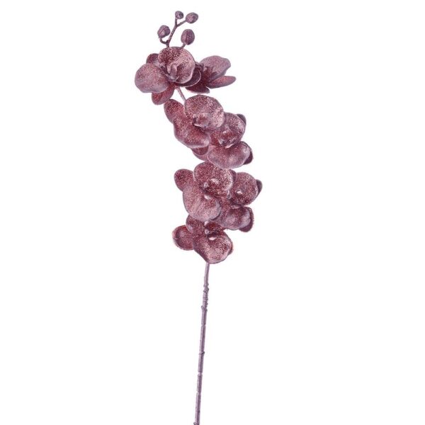 82970.jpg
