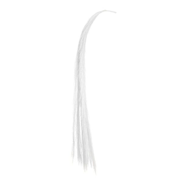 84704.jpg
