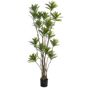 ΦΥΤΟ BAMBOO 180ΕΚ.ΣΕ ΜΑΥΡΗ ΠΛΑΣΤΙΚΗ ΓΛΑΣΤΡΑ (ΔΙΑΜΕΤΡΟΣ 65ΕΚ.) ΠΕΡΙΠΟΥ