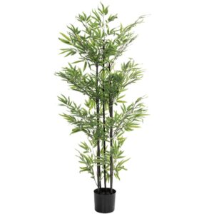 ΦΥΤΟ BAMBOO 150ΕΚ. Χ4 ΣΕ ΜΑΥΡΗ ΠΛΑΣΤΙΚΗ ΓΛΑΣΤΡΑ