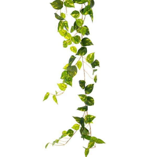 86057.jpg