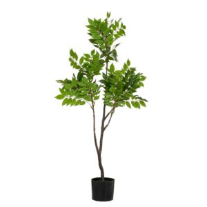 REAL TOUCH ΦΥΤΟ ΑΚΑΚΙΑ 120ΕΚ ΣΕ ΠΛΑΣΤΙΚΗ ΓΛΑΣΤΡΑ Φ15Χ12.5ΕΚ