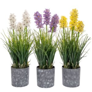 ΓΛΑΣΤΡΑΚΙ 13Χ52ΕΚ ΥΑΚΙΝΘΟΣ 3 ΧΡΩΜΑΤΑ ΣΕ ΓΚΡΙ ΠΛΑΣΤΙΚΟ ΚΑΣΠΩ