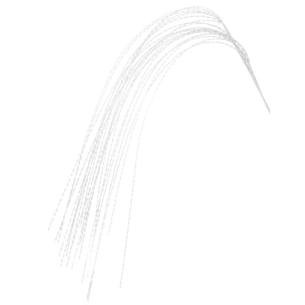 90675.jpg