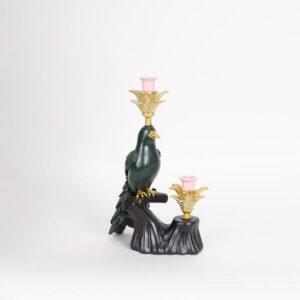 ΚΗΡΟΠΗΓΙΟ ΠΟΥΛΙ ΠΟΛΥΡΕΖΙΝ ΜΑΥΡΟ-ΠΡΑΣΙΝΟ-ΡΟΖ 1 ΘΕΣΗ 24.5x14x38.5cm