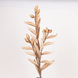 ΛΟΥΛΟΥΔΙ/ΚΛΑΔΙ FOAM ΣΤΑΧΥ ΜΠΕΖ 28x108cm