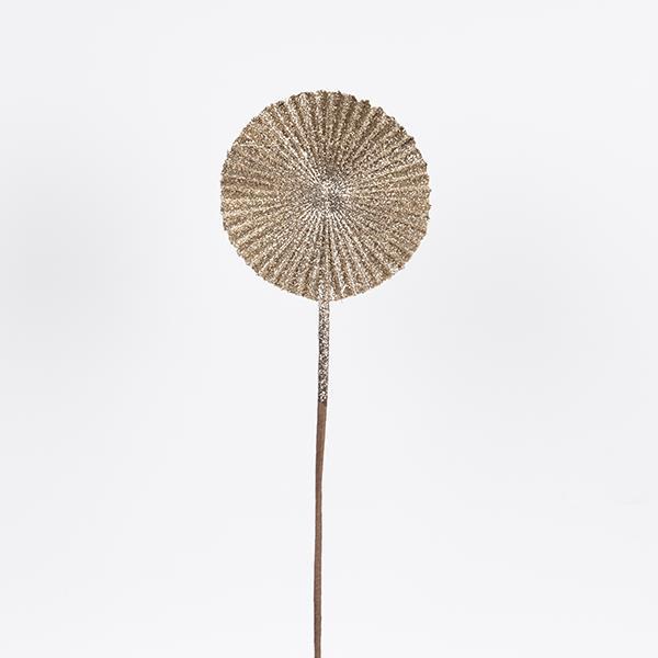 59b0fdac03174dc7bc5b5e5b80b6bf74.jpg 59b0fdac03174dc7bc5b5e5b80b6bf74.jpg