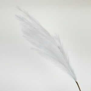 ΚΛΑΔΙ ΠΑΜΠΑΣ ΛΕΥΚΟ 112cm