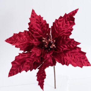 ΒΕΛΟΥΔΙΝΟ ΑΛΕΞΑΝΔΡΙΝΟ ΜΠΟΡΝΤΟ, 37x24cm