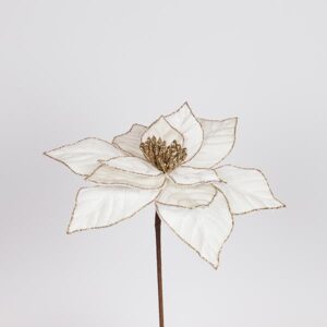 ΑΛΕΞΑΝΔΡΙΝΟ ΙΒΟΥΑΡ, 30x44cm