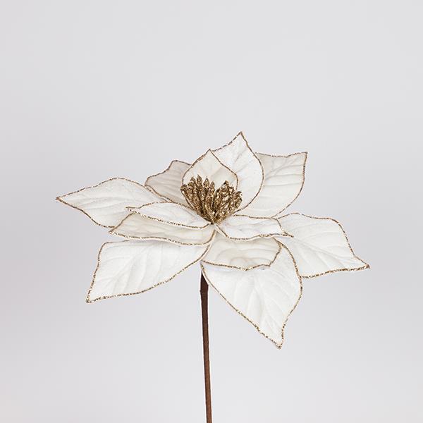 75b1a4bdf6df4e96be5af4870051ab97.jpg 75b1a4bdf6df4e96be5af4870051ab97.jpg