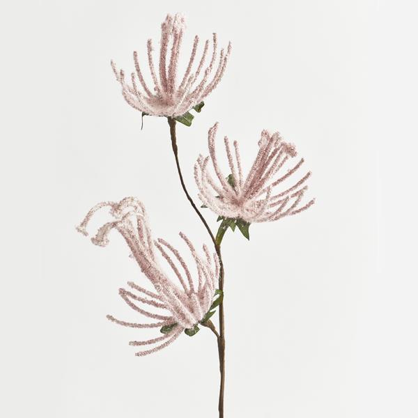 81fb9d766397462396c7ad9bbb3ef63b.jpg 81fb9d766397462396c7ad9bbb3ef63b.jpg