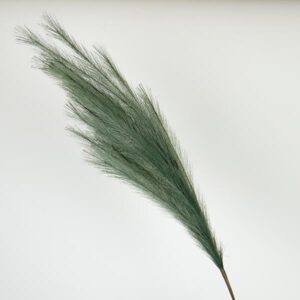 ΚΛΑΔΙ ΠΑΜΠΑΣ ΠΡΑΣΙΝΟ 112cm
