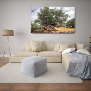 Πίνακας ελιά