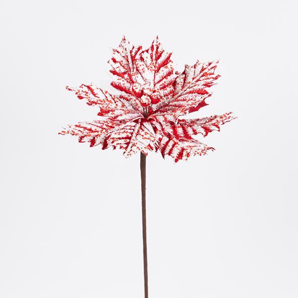 bc5c3719d29549be8c50ce0169d00f6d.jpg bc5c3719d29549be8c50ce0169d00f6d.jpg