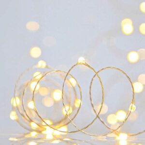 ΣΕΙΡΑ, 100 ΜΙΝΙ LED, ΜΕΤΑΣΧΗΜΑΤΙΣΤΗ, ΣΤΑΘΕΡΟ, ΑΣΗΜΙ ΧΑΛΚΙΝΟ ΚΑΛΩΔΙΟ, ΘΕΡΜΟ ΛΕΥΚΟ LED ANA 10cm, ΠΡΟΕΚΤΑΣΗ ΠΑΡΟΧΗΣ 5m, ΙΡ44